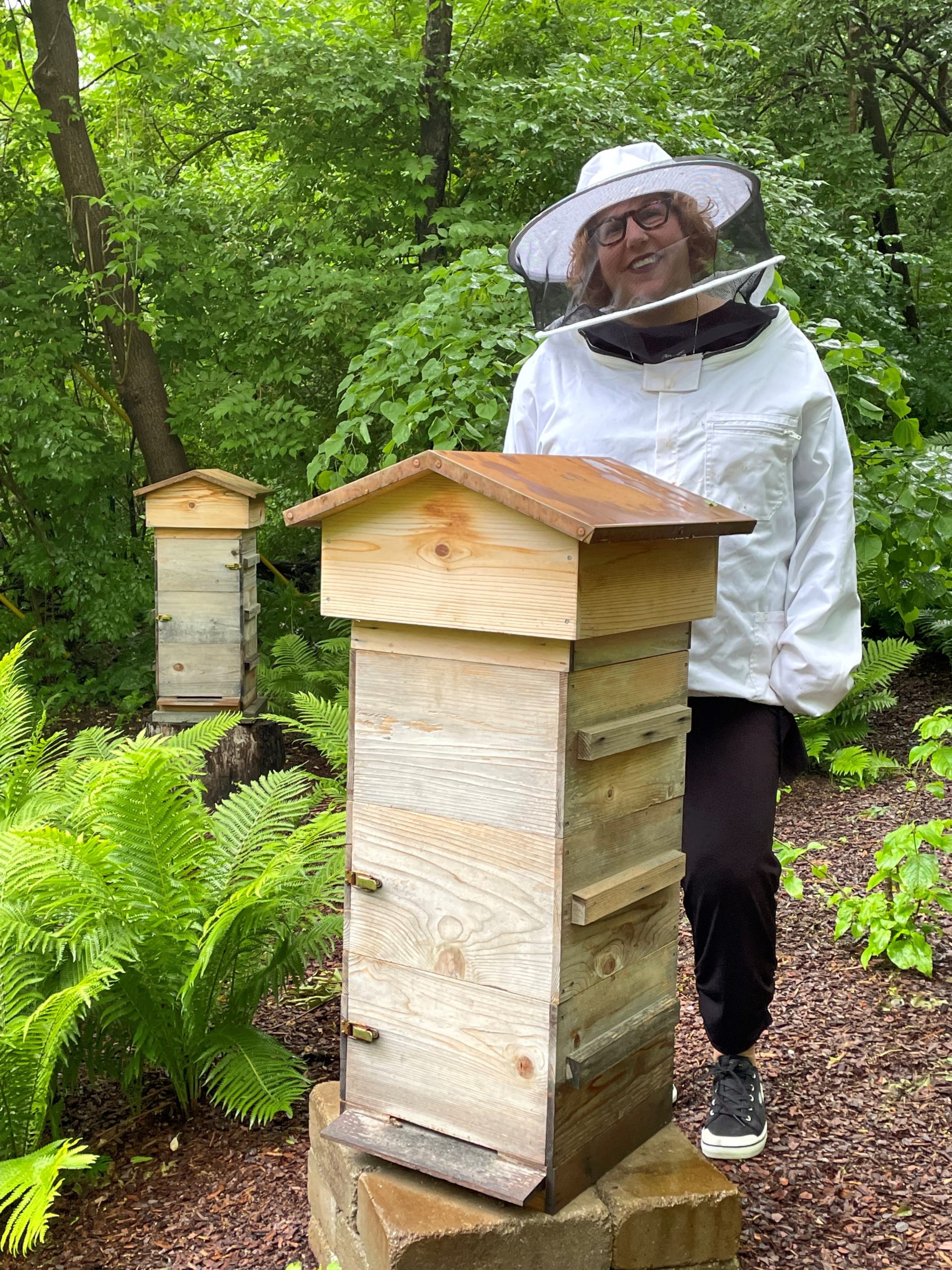 Kate Collins Bee Keeping